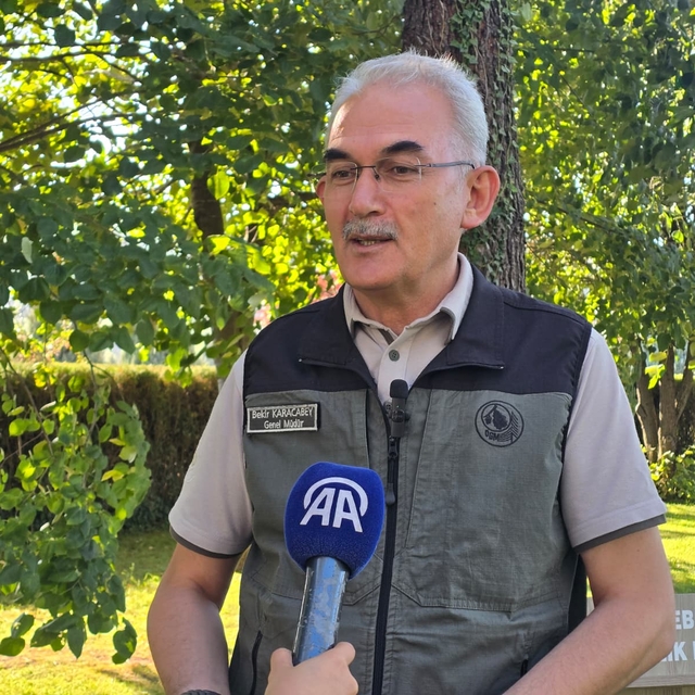 İhmal ve dikkatsizlikle çıkan orman yangınlarına karşı farkındalık bilinci...