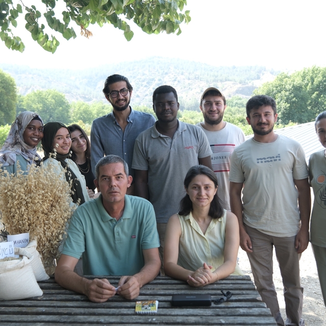 Bilecik Şeyh Edebali Üniversitesinin 4 yulaf çeşidi "üretim izinli çeşit" l...