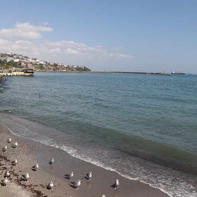 Tekirdağ'da deniz ulaşımı normale döndü