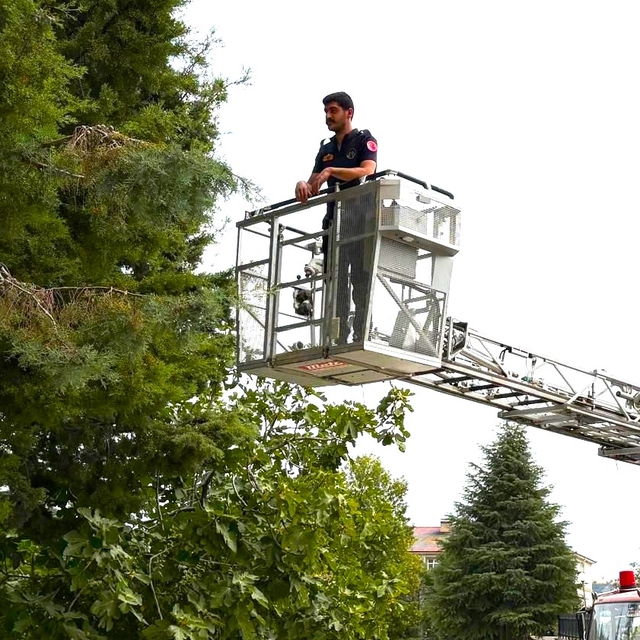 Amasya'da ağaçta mahsur kalan kediyi itfaiye ekipleri kurtardı