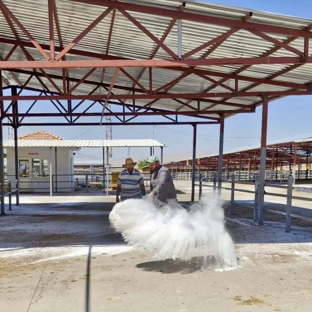 Kırşehir Canlı Hayvan Pazarı'nda ilaçlama ve temizlik çalışması yapıldı