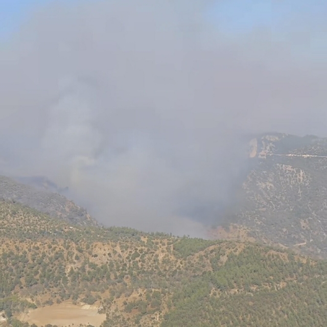 Denizli'deki orman yangını Aydın'a sıçradı