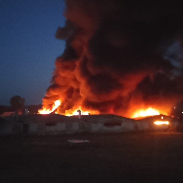 Sakarya'da boya fabrikasında yangın