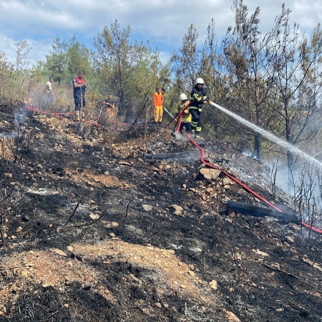 Hatay'da ormanlık alanda çıkan yangın söndürüldü