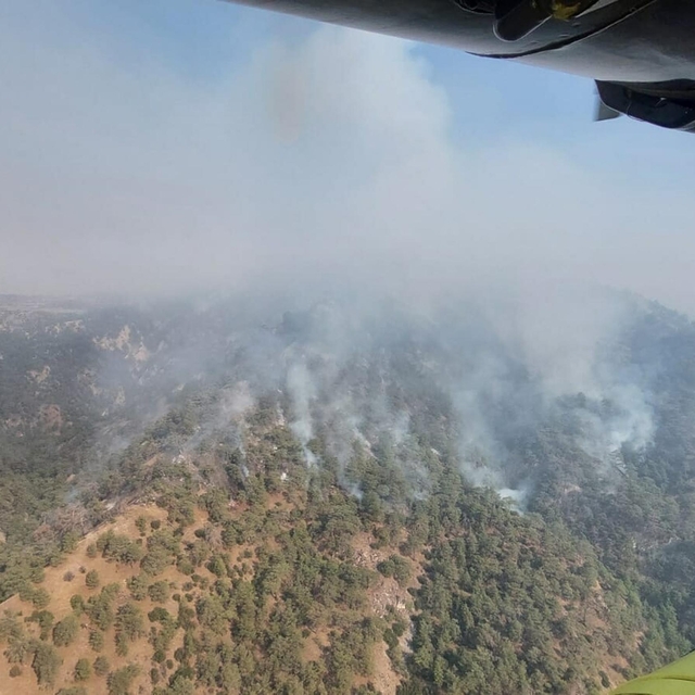 Aydın'da orman yangını 2'nci gününde