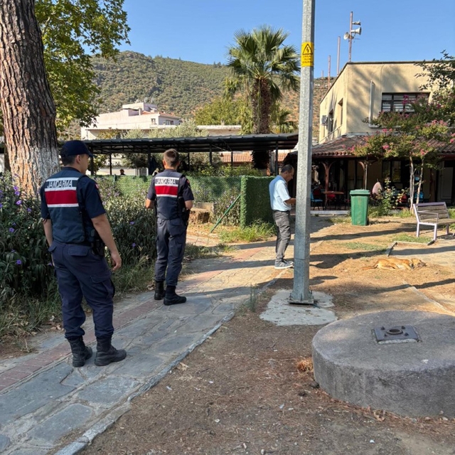 10 köpek ile 5 kedinin öldüğü olayda, şüpheli, etleri çocuklara dağıttırmış