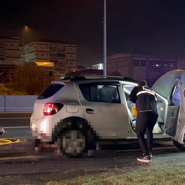 Yol ortasına otururken otomobil çarptı; kurtarılamadı