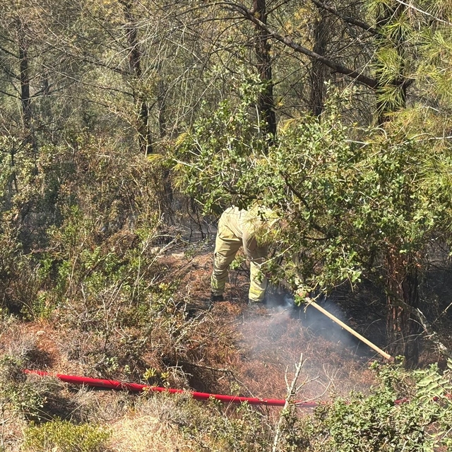 Adana'da çıkan orman yangını kontrol altına alındı