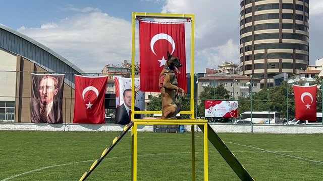 Nevşehir'de 30 Ağustos Zafer Bayramı kutlamaları; JAKEM'in eğitimli köpeklerinin gösterisi ilgi topladı