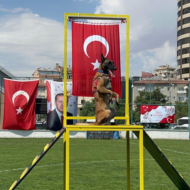Nevşehir'de 30 Ağustos Zafer Bayramı kutlamaları; JAKEM'in eğitimli köpekle...