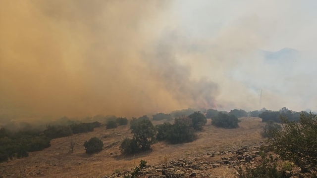 Balıkesir'de çıkan orman yangınına müdahale ediliyor