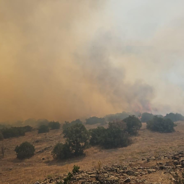 Balıkesir'de çıkan orman yangınına müdahale ediliyor