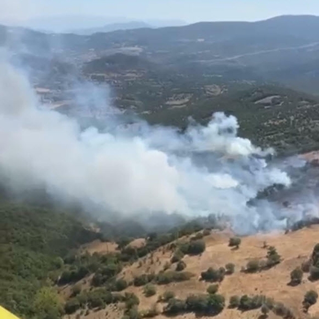 Balıkesir'de orman yangını