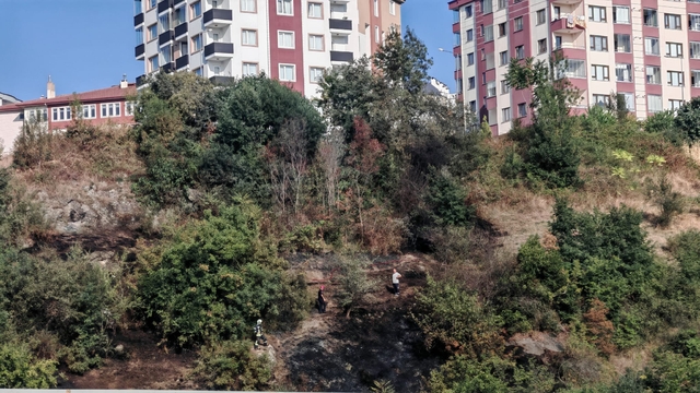 Trabzon'da ağaçlık alanda çıkan yangın söndürüldü