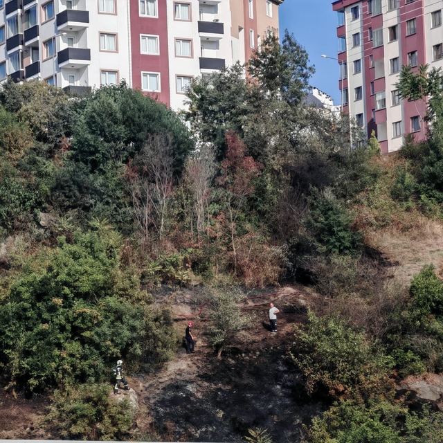 Trabzon'da ağaçlık alanda çıkan yangın söndürüldü