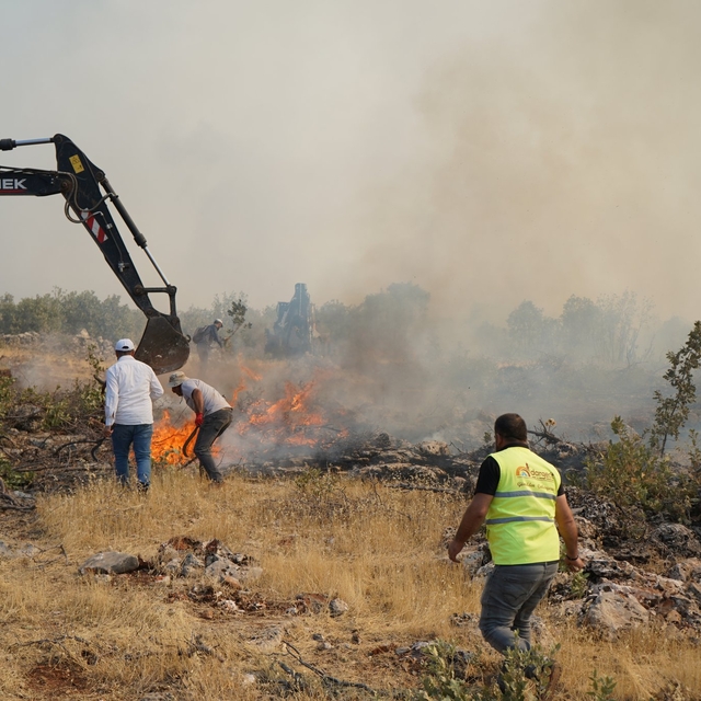 Mardin'deki örtü yangını 5 saatte söndürüldü