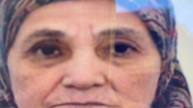 Düzce'de kaybolan 81 yaşındaki kadın, 53 saat sonra yarı baygın bulundu