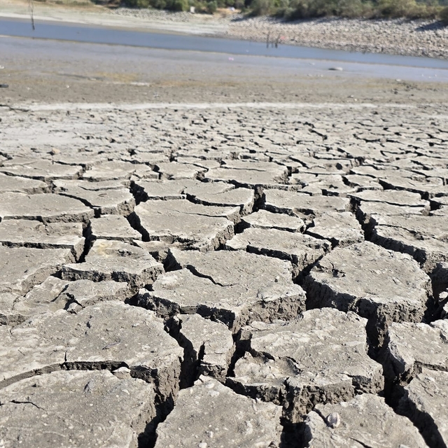 Bursa'daki 42 yıllık Çınarlı Göleti kuruma tehlikesiyle karşı karşıya; balı...