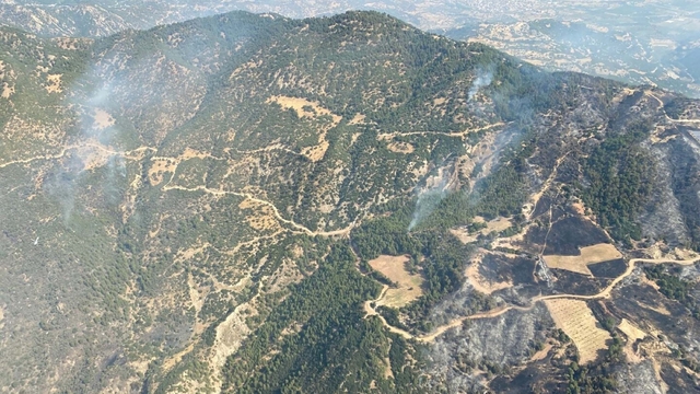Aydın'daki orman yangını 3'üncü gününde