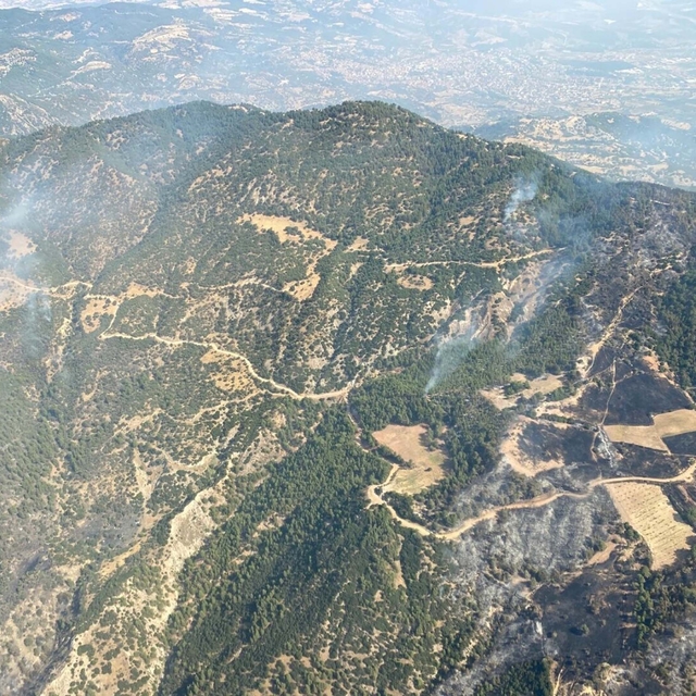 Aydın'daki orman yangını 3'üncü gününde