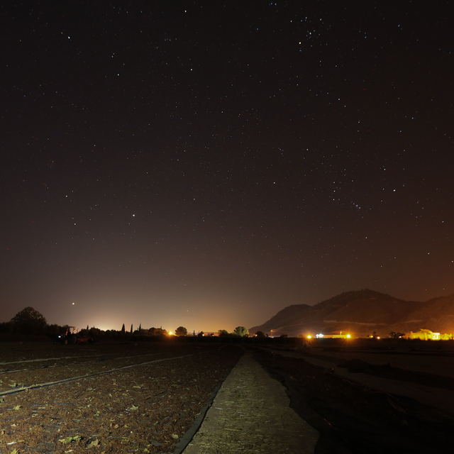 Manisalı çiftçiler kuru üzüm için geceleri nöbette