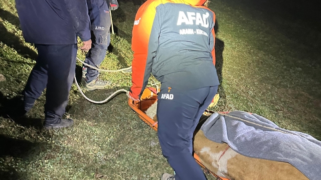 Artvin'de kayalıklara düşen inek AFAD ekipleri tarafından kurtarıldı