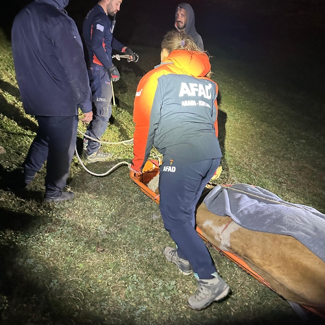 Artvin'de kayalıklara düşen inek AFAD ekipleri tarafından kurtarıldı