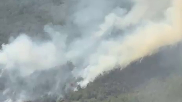 Küre Dağları Milli Parkı'nda orman yangını