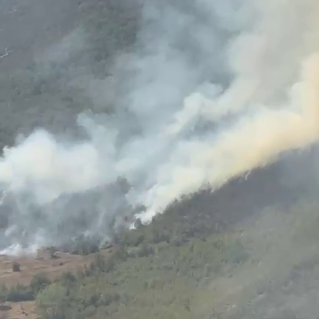 Küre Dağları Milli Parkı'nda orman yangını