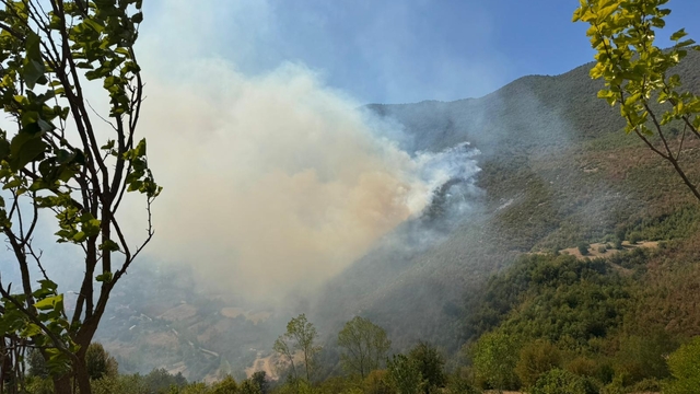 Bartın'da ormanlık alanda çıkan yangına müdahale ediliyor