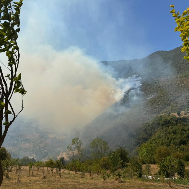 Bartın'da ormanlık alanda çıkan yangına müdahale ediliyor