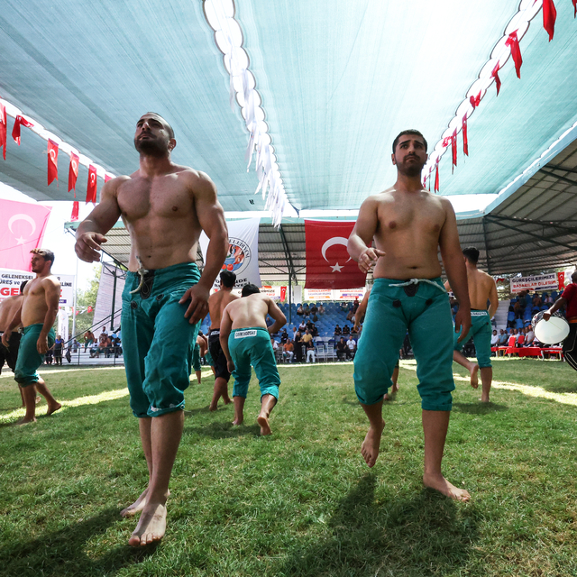 Darende'de 72. Zengibar Karakucak Türkiye Şampiyonası başladı