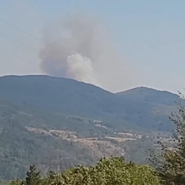 Karabük'te orman yangını