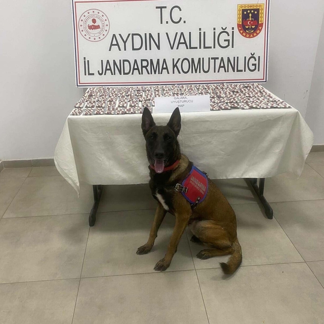 Aydın'da 1383 sentetik hap ele geçirildi: 3 gözaltı