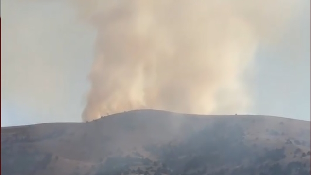 Sivas'taki anız yangını ağaçlara sıçradı