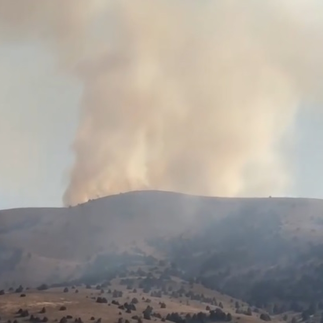 Sivas'taki anız yangını ağaçlara sıçradı