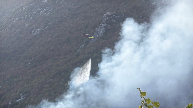 Küre Dağları Milli Parkı'nda orman yangını (4)