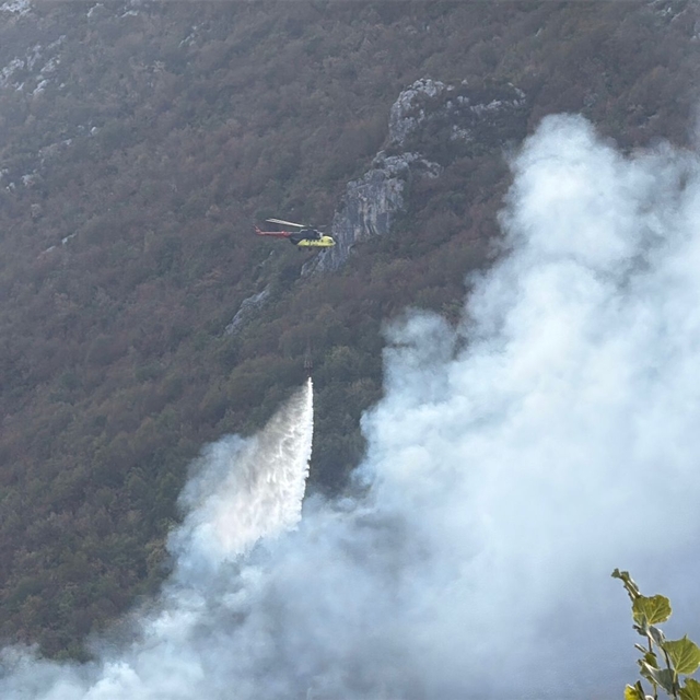Küre Dağları Milli Parkı'nda orman yangını (4)
