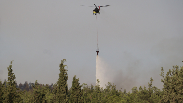Pamukkale'de çıkan orman yangını söndürüldü; 3 gözaltı