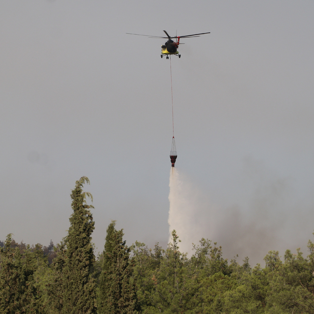 Pamukkale'de çıkan orman yangını söndürüldü; 3 gözaltı