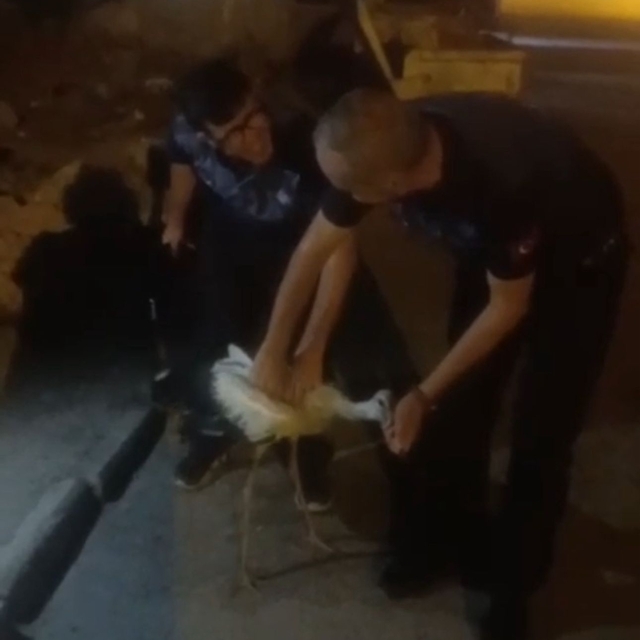 Bitkin düşen leylek, tedaviye alındı