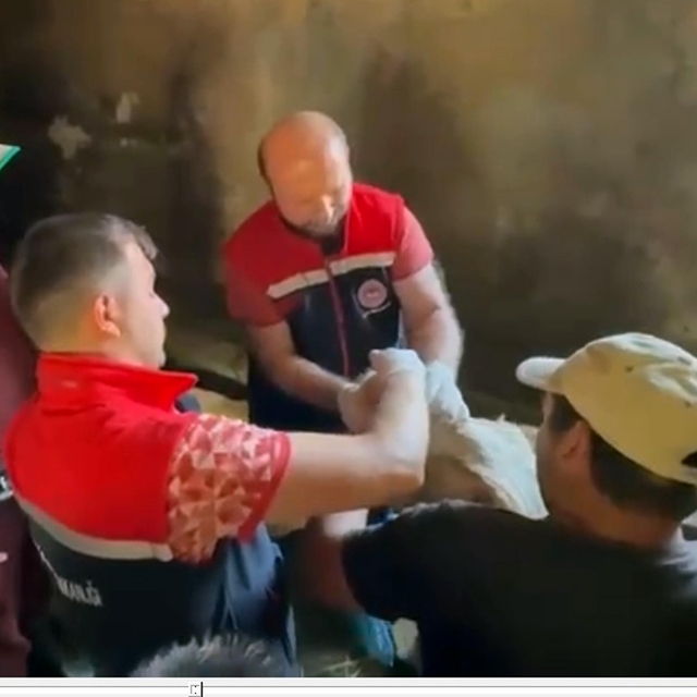 Erzurum'da 120 görevli 817 bin hayvanın yüzde 60'ını aşıladı