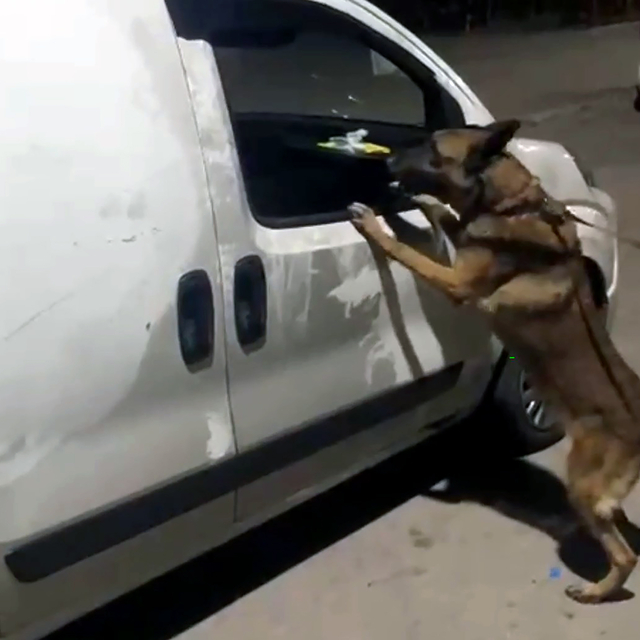 Araçtaki koltuğun altından 5 kilo esrar çıktı; 'Kim koydu bilmiyoruz' dedi