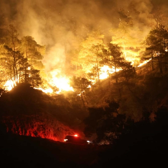 Aydın'daki orman yangını 4'üncü gününde