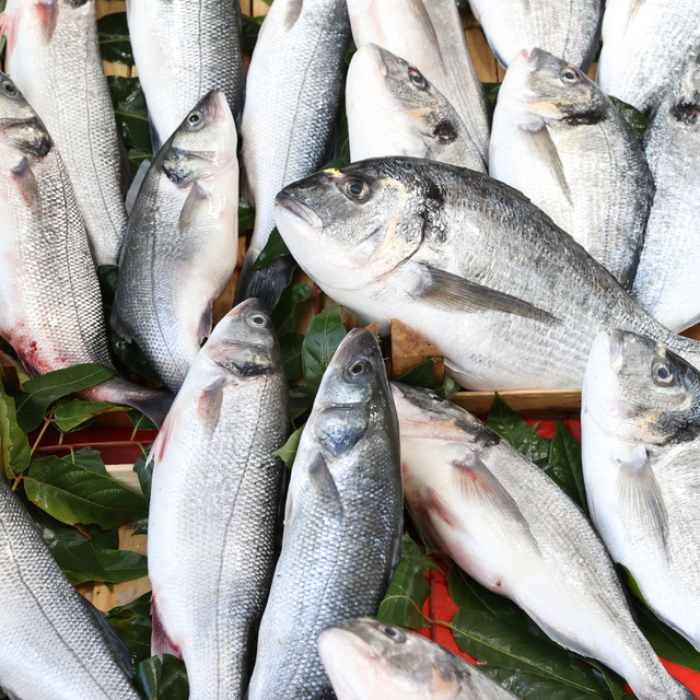 Balık sezonunun açılmasıyla tezgahlar doldu