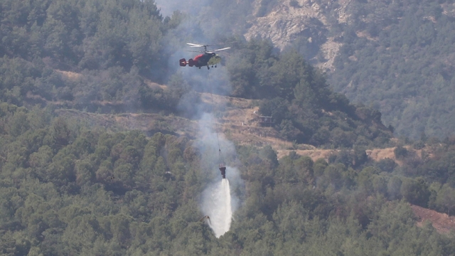Aydın'daki orman yangını 4'üncü gününde (2)