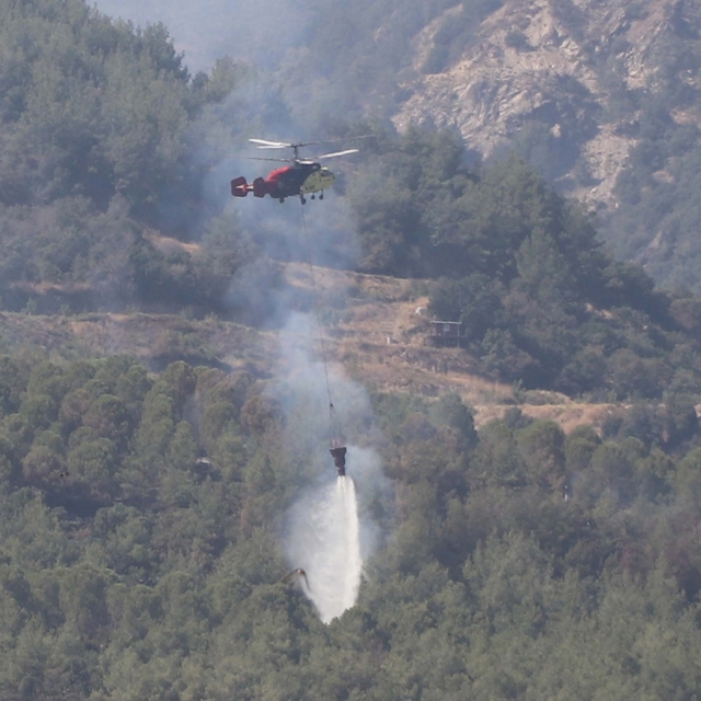 Aydın'daki orman yangını 4'üncü gününde (2)