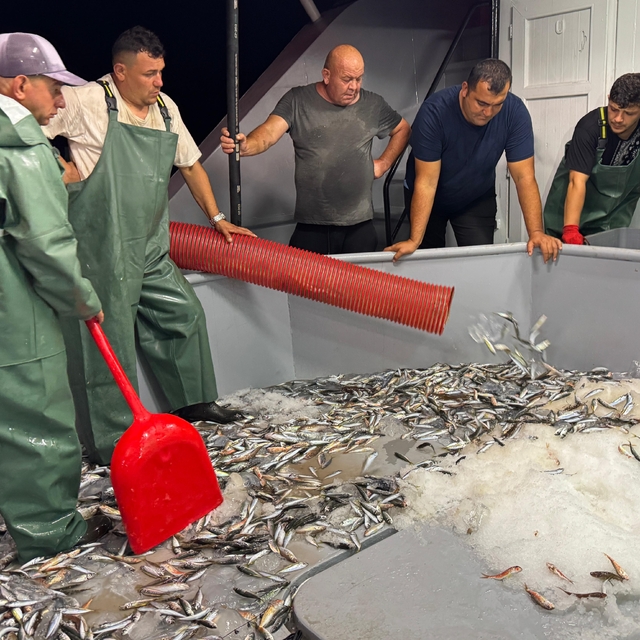 Ordu'da 'vira bismillah' diyen balıkçılar, sezonun ilk avını gerçekleştirdi