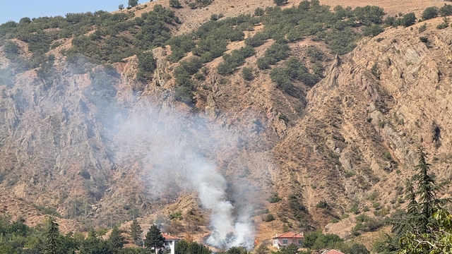 Uğurludağ'da çıkan ot yangını söndürüldü