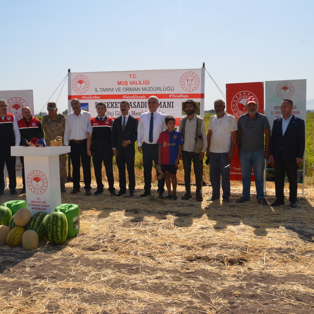 Muş'ta hasadına başlanan karpuzdan yaklaşık 2 milyar liralık gelir bekleniy...